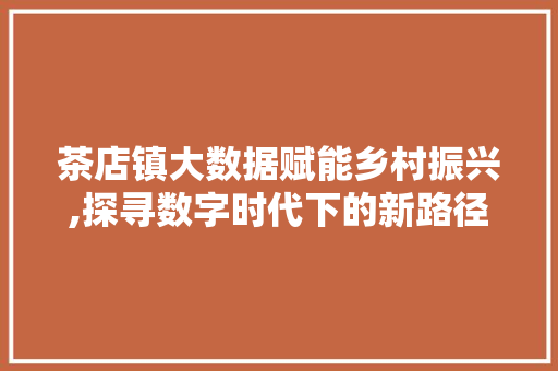 茶店镇大数据赋能乡村振兴,探寻数字时代下的新路径