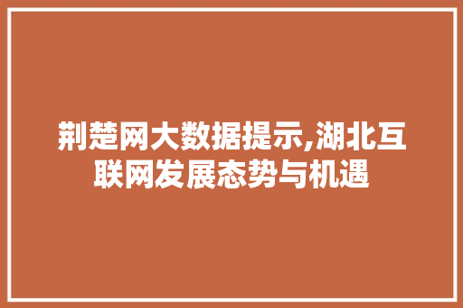 荆楚网大数据提示,湖北互联网发展态势与机遇 神马SEO