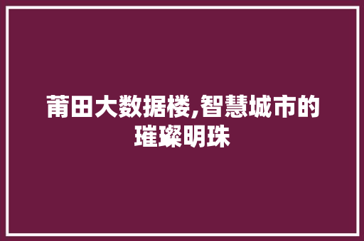 莆田大数据楼,智慧城市的璀璨明珠 GoogleSEO