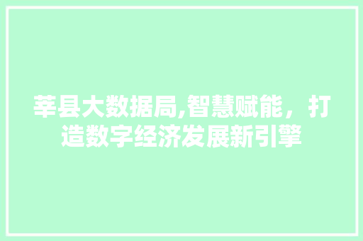 莘县大数据局,智慧赋能，打造数字经济发展新引擎 必应SEO