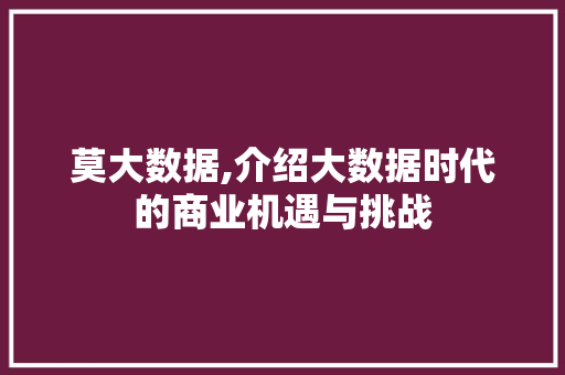 莫大数据,介绍大数据时代的商业机遇与挑战 百度SEO