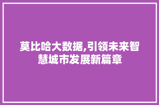 莫比哈大数据,引领未来智慧城市发展新篇章 必应SEO