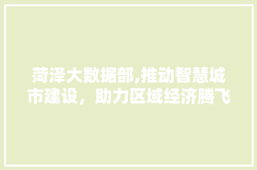 菏泽大数据部,推动智慧城市建设，助力区域经济腾飞 神马SEO