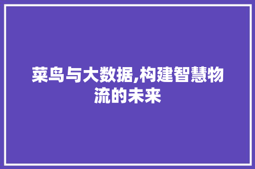 菜鸟与大数据,构建智慧物流的未来 必应SEO