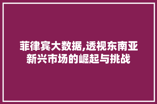 菲律宾大数据,透视东南亚新兴市场的崛起与挑战 百度SEO
