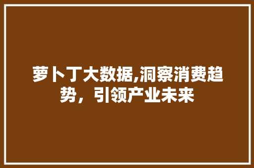 萝卜丁大数据,洞察消费趋势，引领产业未来 必应SEO