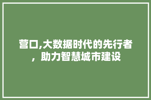 营口,大数据时代的先行者，助力智慧城市建设 GoogleSEO