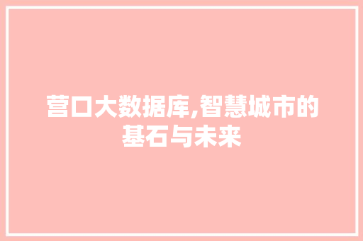 营口大数据库,智慧城市的基石与未来 GoogleSEO