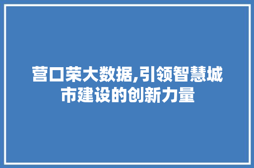 营口荣大数据,引领智慧城市建设的创新力量 百度SEO
