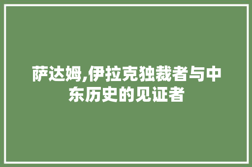萨达姆,伊拉克独裁者与中东历史的见证者 神马SEO