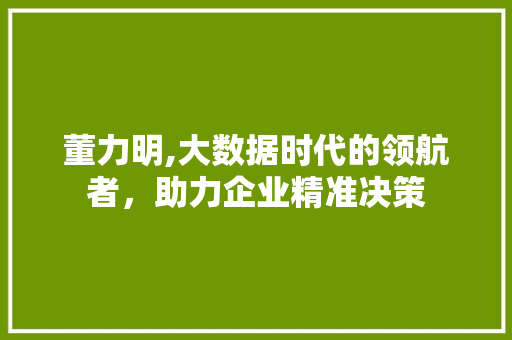 董力明,大数据时代的领航者，助力企业精准决策 百度SEO