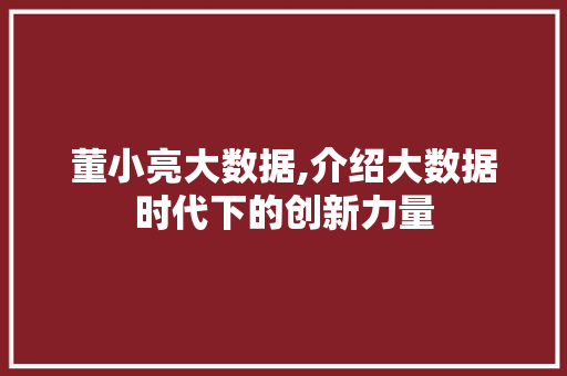 董小亮大数据,介绍大数据时代下的创新力量 必应SEO