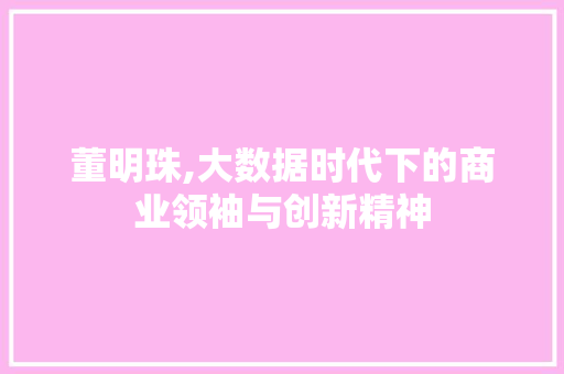 董明珠,大数据时代下的商业领袖与创新精神 必应SEO
