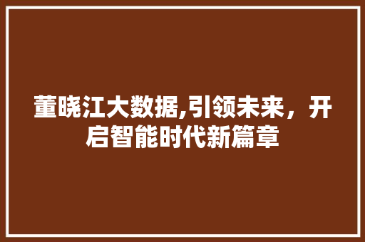 董晓江大数据,引领未来，开启智能时代新篇章 必应SEO