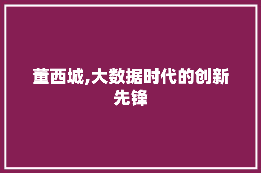 董西城,大数据时代的创新先锋 GoogleSEO