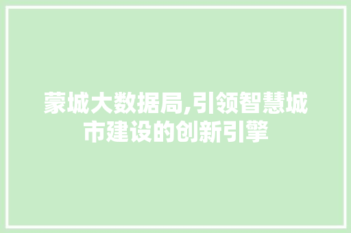 蒙城大数据局,引领智慧城市建设的创新引擎 神马SEO