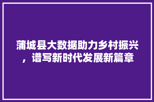 蒲城县大数据助力乡村振兴，谱写新时代发展新篇章 搜狗SEO