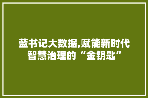 蓝书记大数据,赋能新时代智慧治理的“金钥匙” 百度SEO