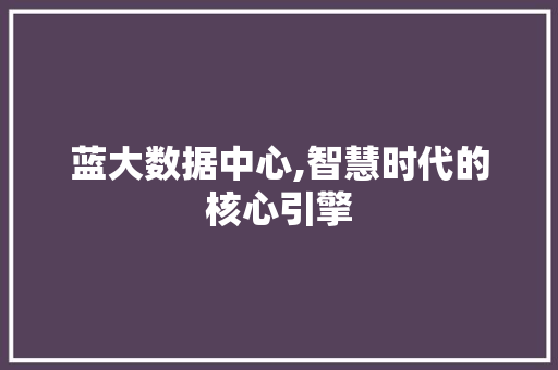 蓝大数据中心,智慧时代的核心引擎 GoogleSEO
