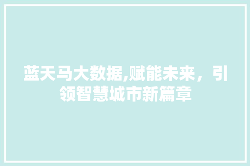 蓝天马大数据,赋能未来，引领智慧城市新篇章 百度SEO
