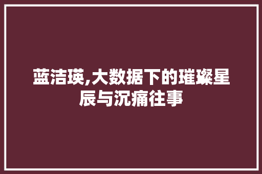 蓝洁瑛,大数据下的璀璨星辰与沉痛往事 神马SEO