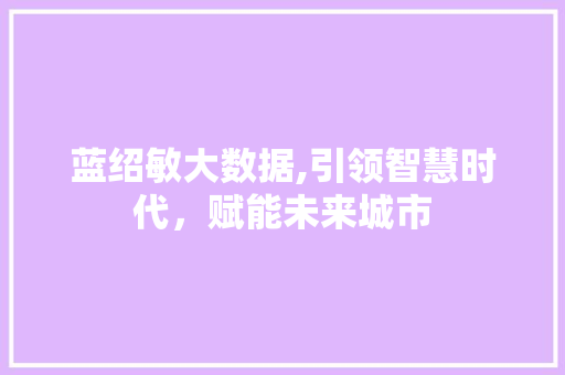 蓝绍敏大数据,引领智慧时代，赋能未来城市 GoogleSEO