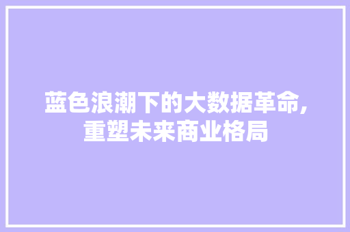 蓝色浪潮下的大数据革命,重塑未来商业格局 GoogleSEO