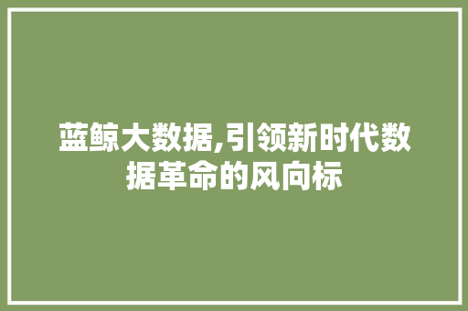蓝鲸大数据,引领新时代数据革命的风向标 必应SEO