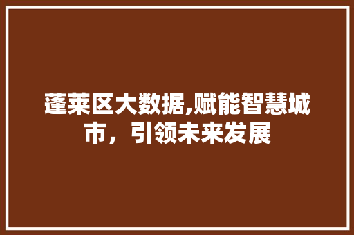 蓬莱区大数据,赋能智慧城市，引领未来发展 必应SEO