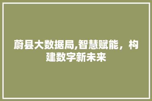 蔚县大数据局,智慧赋能，构建数字新未来 百度SEO