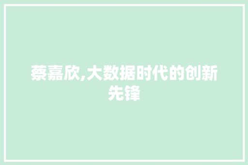 蔡嘉欣,大数据时代的创新先锋 必应SEO