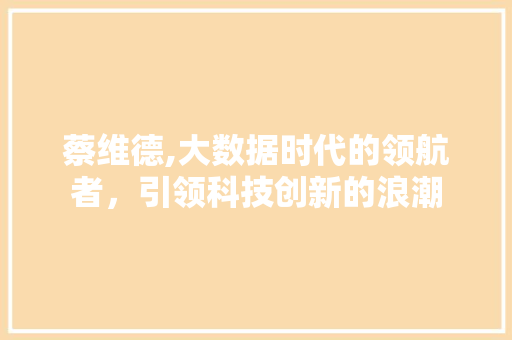 蔡维德,大数据时代的领航者，引领科技创新的浪潮
