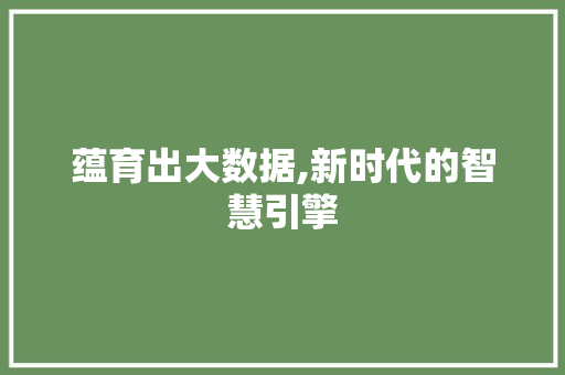 蕴育出大数据,新时代的智慧引擎 神马SEO