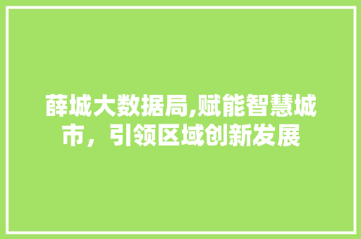 薛城大数据局,赋能智慧城市，引领区域创新发展 GoogleSEO