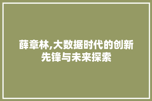 薛章林,大数据时代的创新先锋与未来探索 GoogleSEO