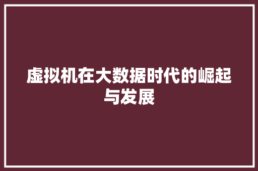 虚拟机在大数据时代的崛起与发展 GoogleSEO