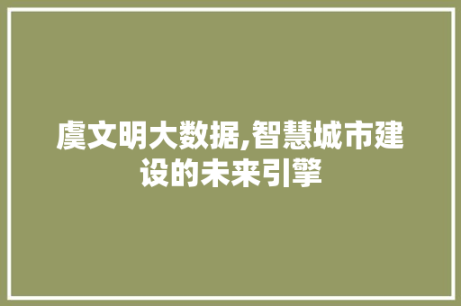 虞文明大数据,智慧城市建设的未来引擎 GoogleSEO