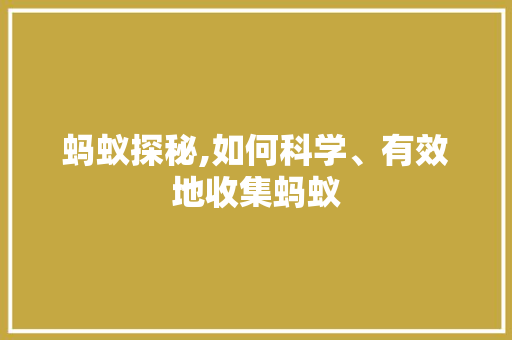 蚂蚁探秘,如何科学、有效地收集蚂蚁 搜狗SEO