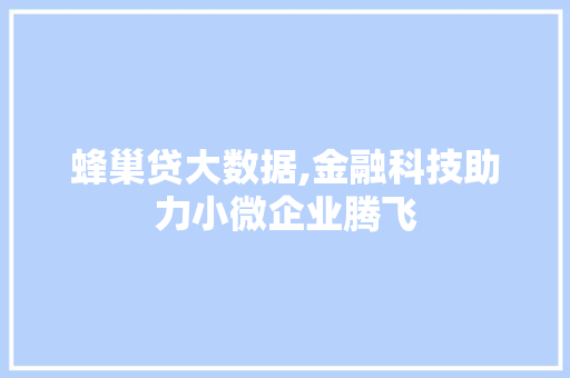 蜂巢贷大数据,金融科技助力小微企业腾飞 必应SEO
