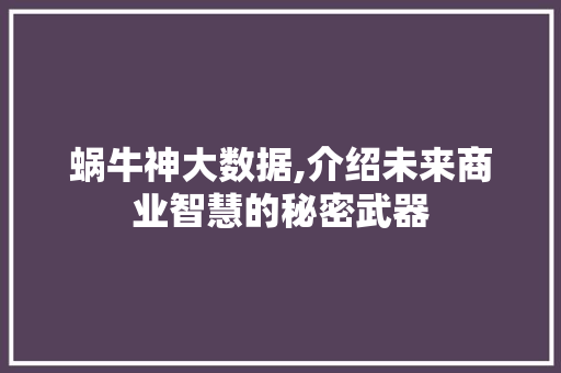 蜗牛神大数据,介绍未来商业智慧的秘密武器 百度SEO