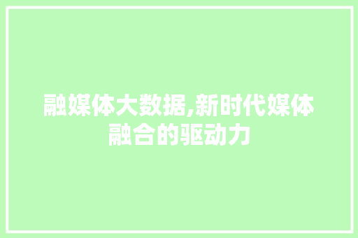 融媒体大数据,新时代媒体融合的驱动力 神马SEO