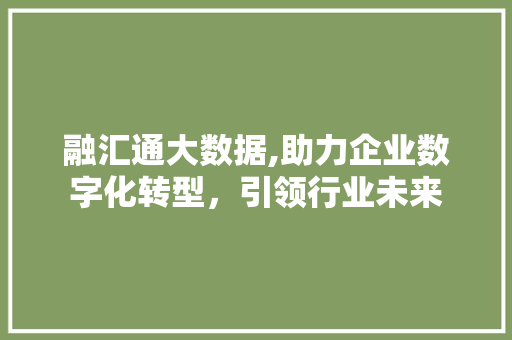 融汇通大数据,助力企业数字化转型，引领行业未来 神马SEO