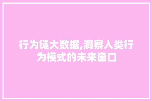 行为链大数据,洞察人类行为模式的未来窗口 必应SEO