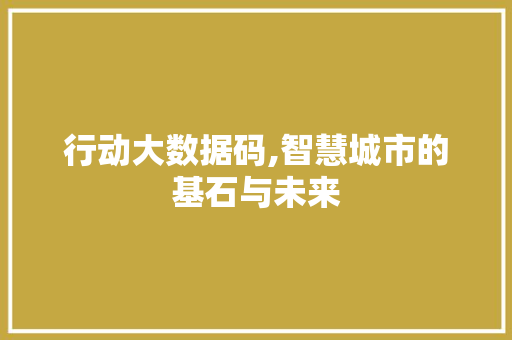 行动大数据码,智慧城市的基石与未来 必应SEO