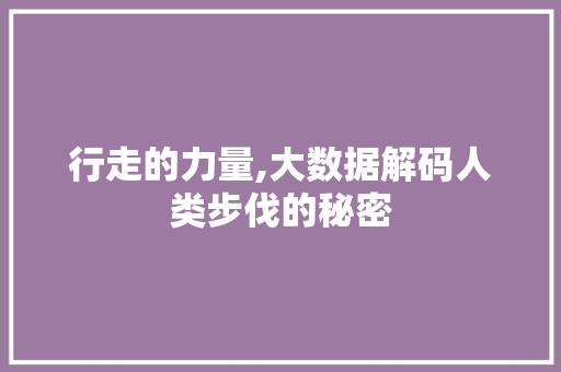 行走的力量,大数据解码人类步伐的秘密 百度SEO