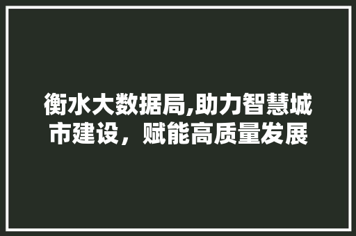 衡水大数据局,助力智慧城市建设，赋能高质量发展 GoogleSEO