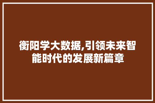 衡阳学大数据,引领未来智能时代的发展新篇章 必应SEO