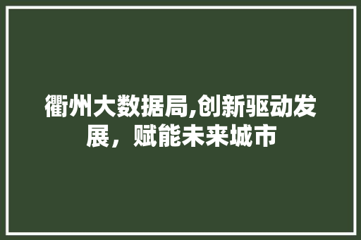 衢州大数据局,创新驱动发展，赋能未来城市 GoogleSEO