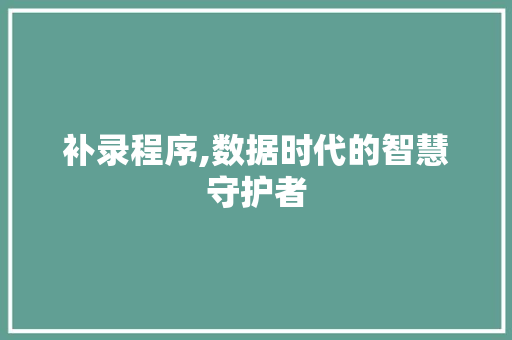补录程序,数据时代的智慧守护者 必应SEO