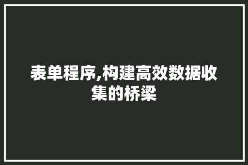 表单程序,构建高效数据收集的桥梁 百度SEO